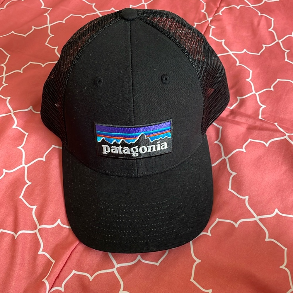 Patagonia snap back hat